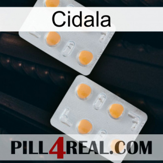 Cidala 25